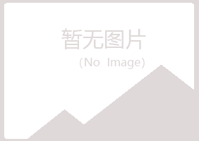 蓝田县字迹咨询有限公司